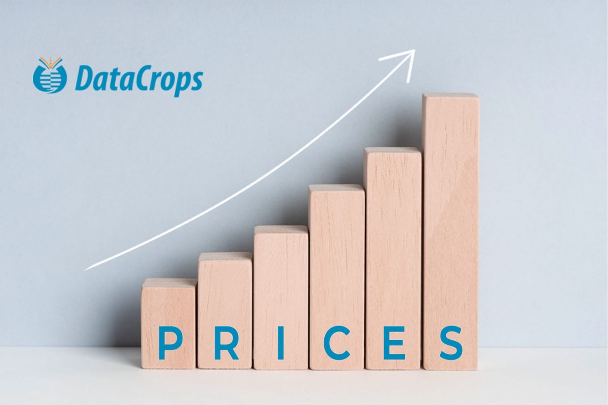 5 Ways Price Monitoring Can Improve Retailer-Brand Relationships